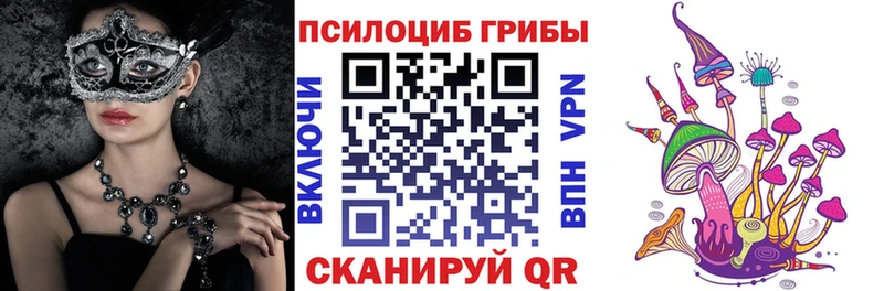 Псилоцибиновые грибы прущие грибы  Калининец 